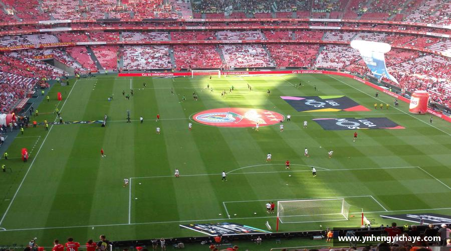 汗水与梦想，共创辉煌！